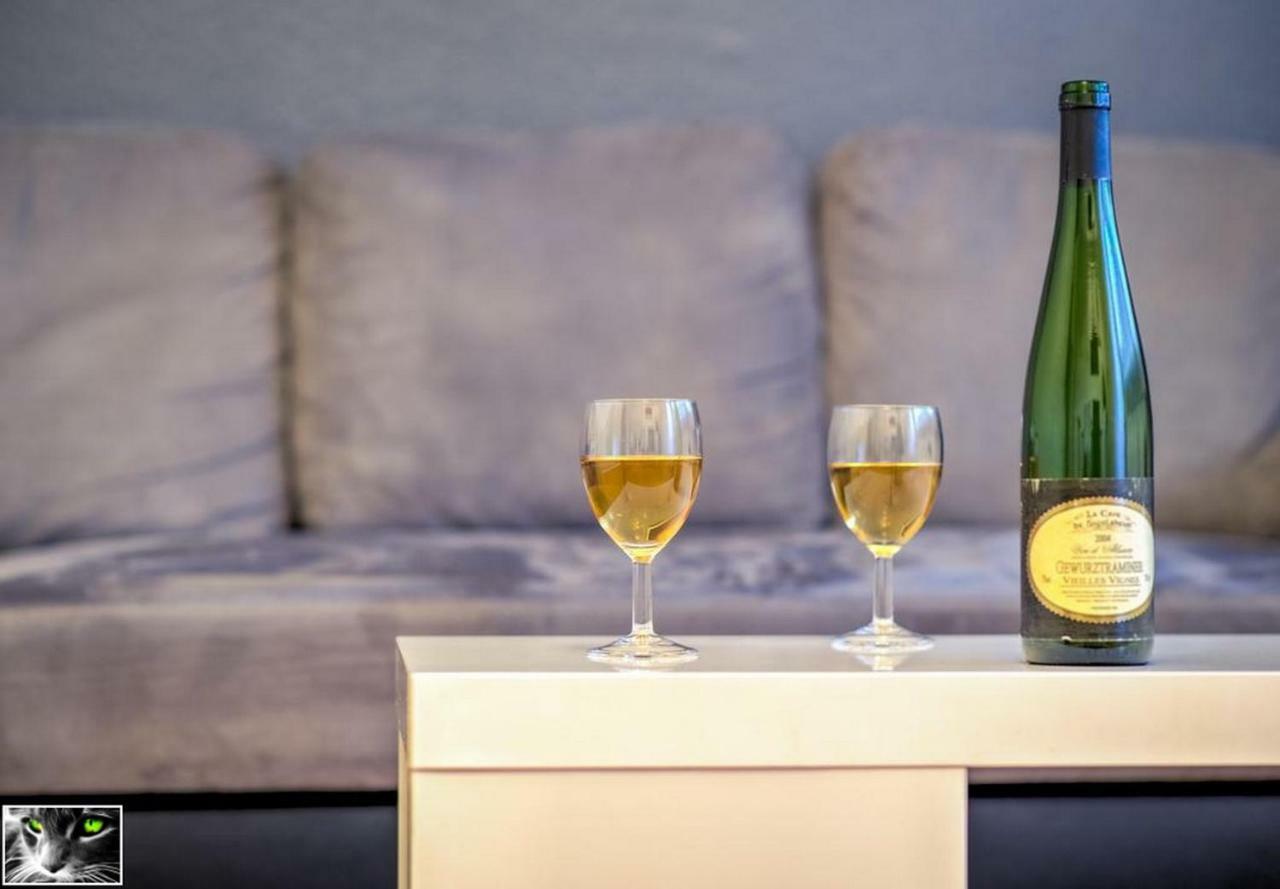 Appartement Spacieux Schiltigheim Εξωτερικό φωτογραφία