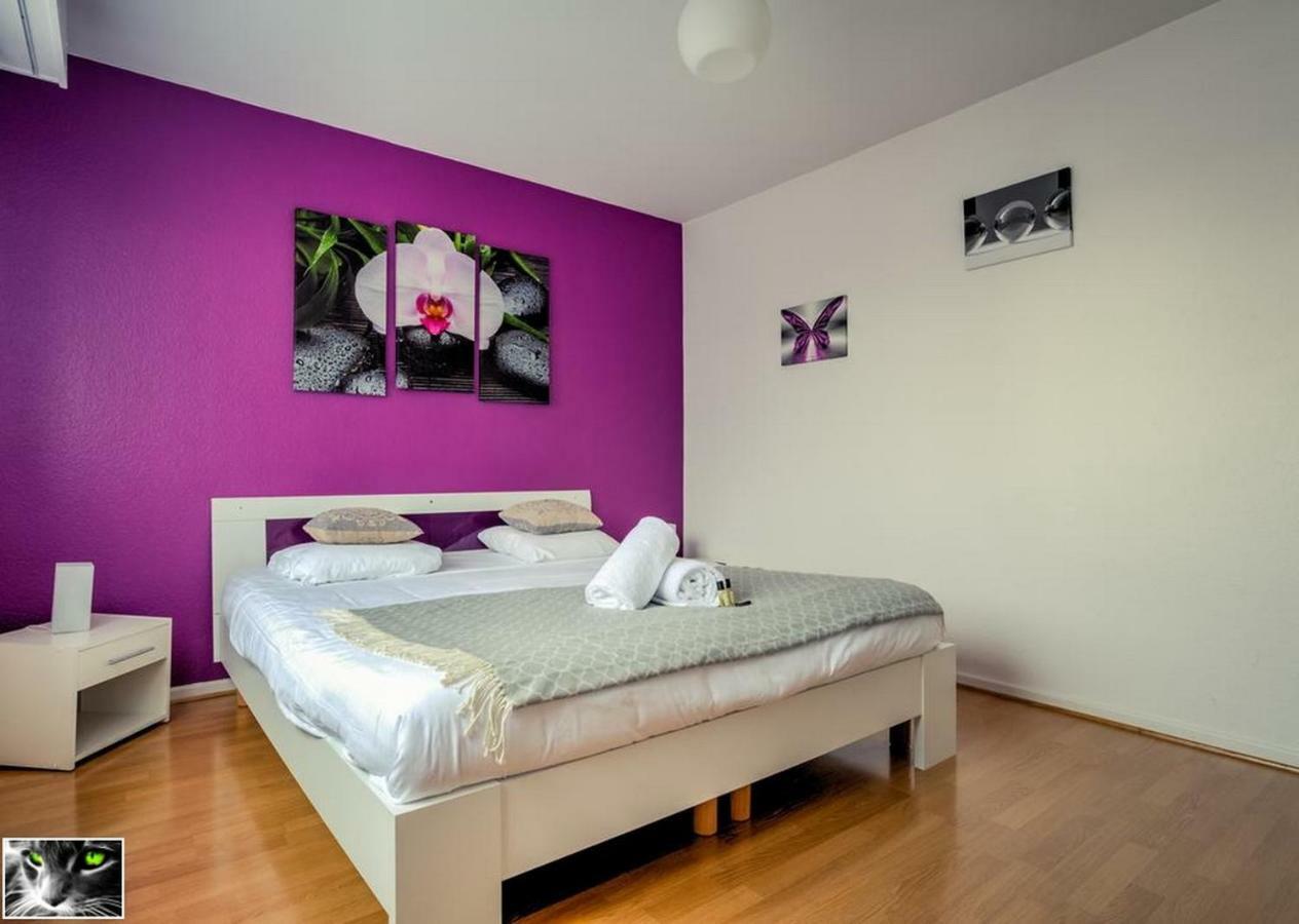 Appartement Spacieux Schiltigheim Εξωτερικό φωτογραφία