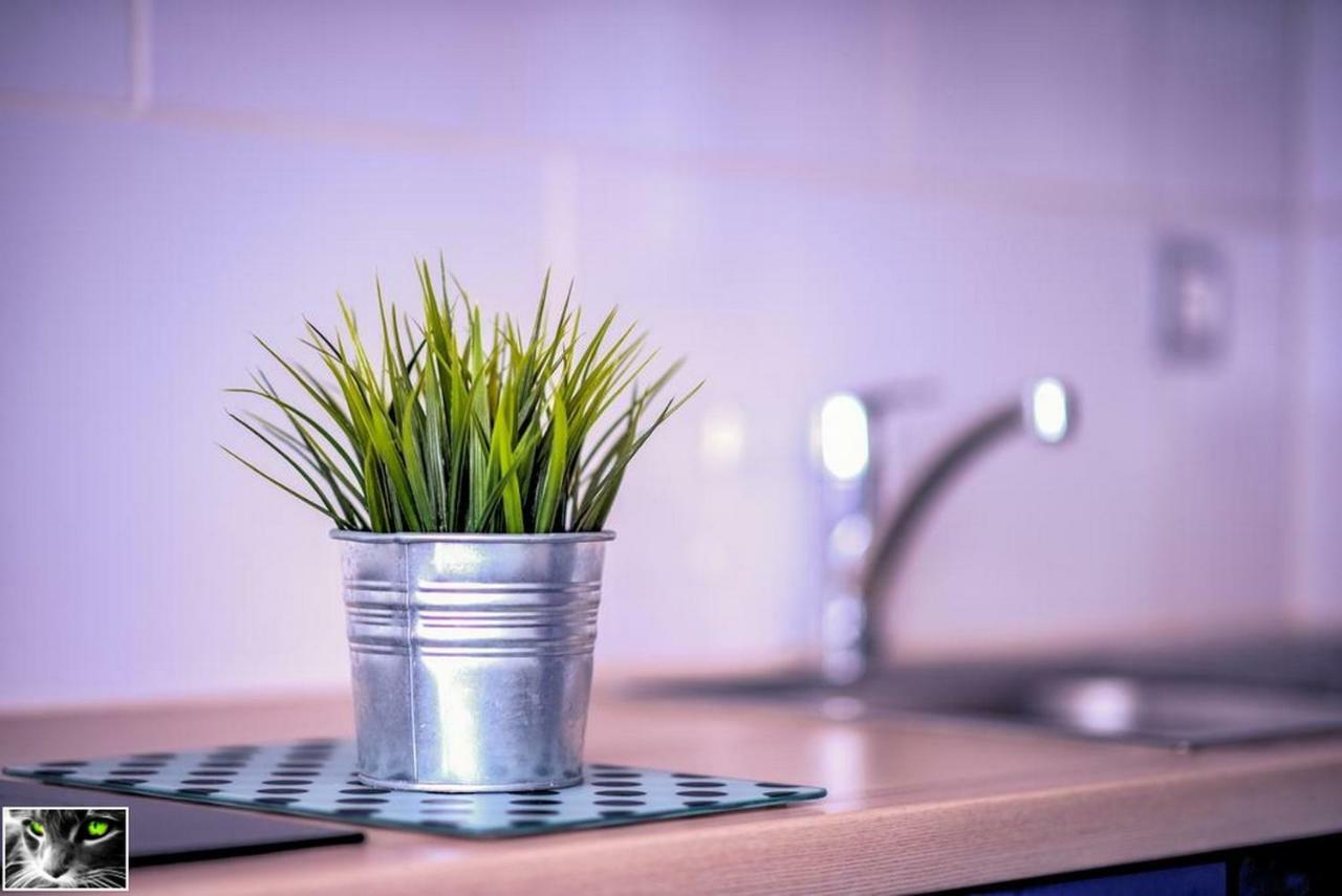 Appartement Spacieux Schiltigheim Εξωτερικό φωτογραφία