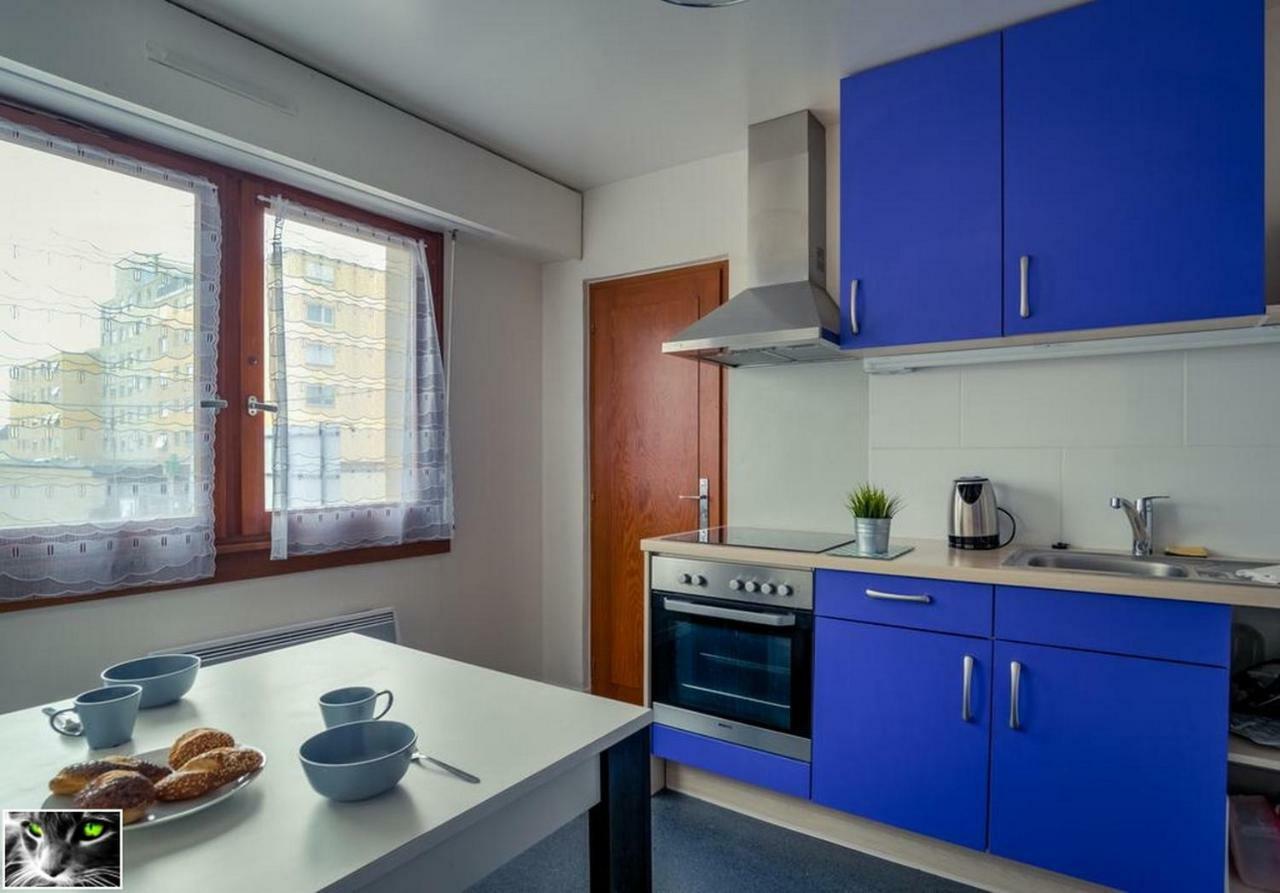 Appartement Spacieux Schiltigheim Εξωτερικό φωτογραφία