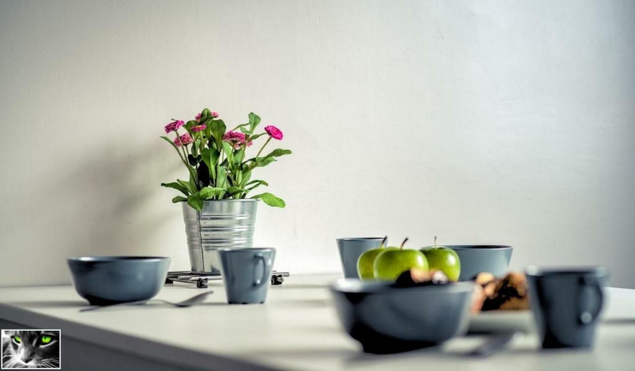 Appartement Spacieux Schiltigheim Εξωτερικό φωτογραφία