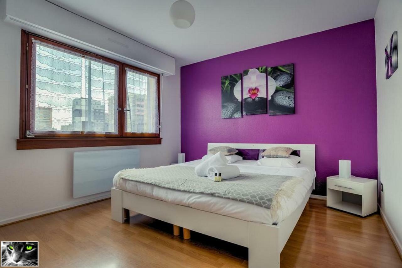 Appartement Spacieux Schiltigheim Εξωτερικό φωτογραφία